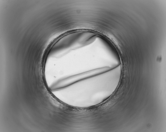 X0000091561072200709141531