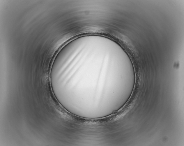 X0000091561073200709141531