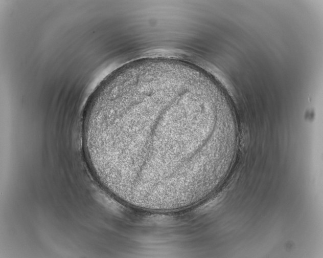 X0000091561075200709141531