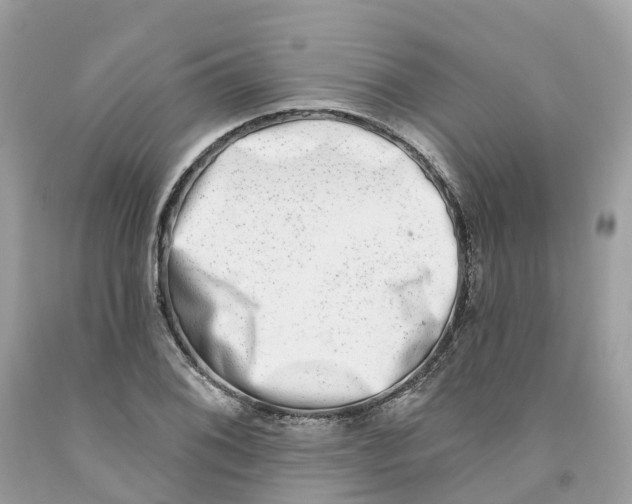 X0000091561076200709141531