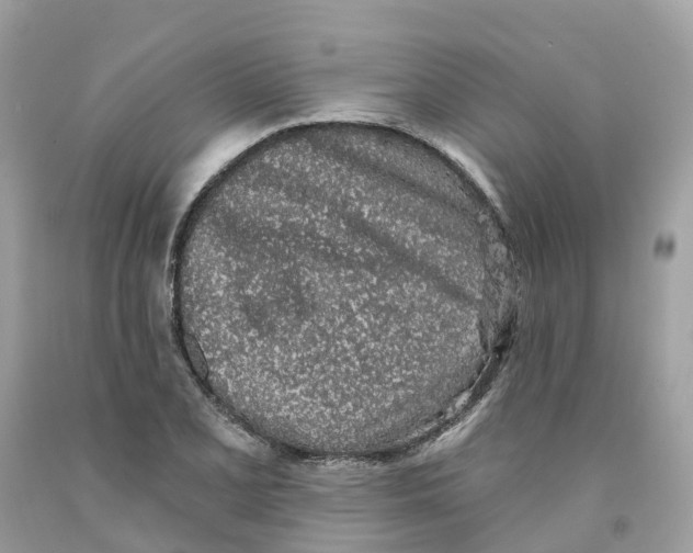 X0000091561077200709141531