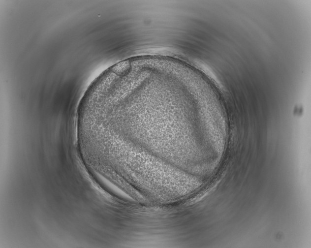 X0000091561079200709141531