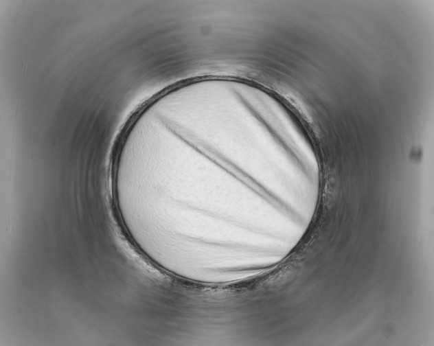 X0000091561080200709141531