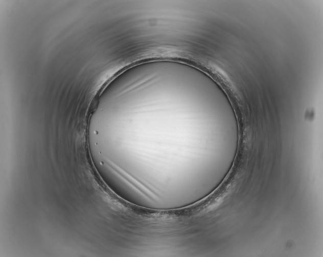 X0000091561081200709141531