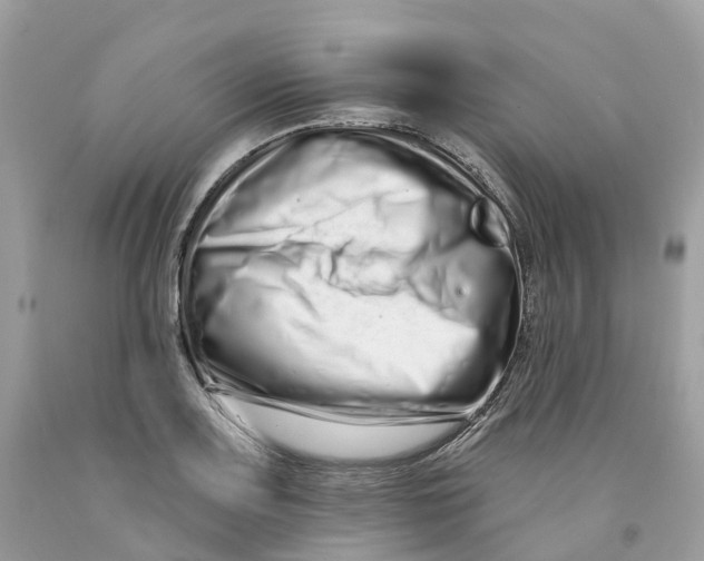 X0000091561083200709141531