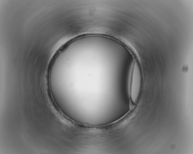 X0000091561085200709141531