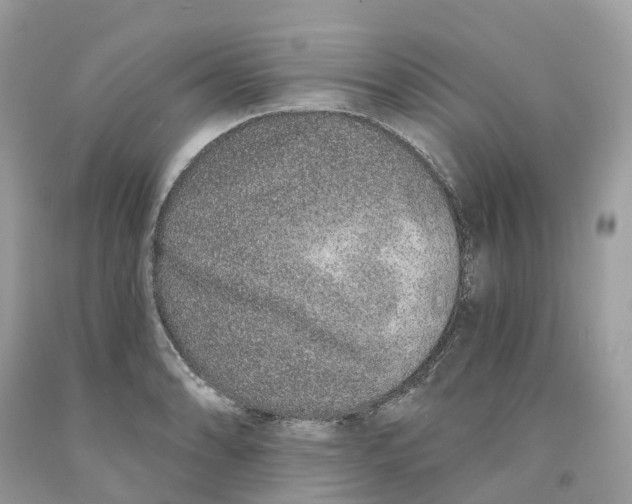 X0000091561086200709141531