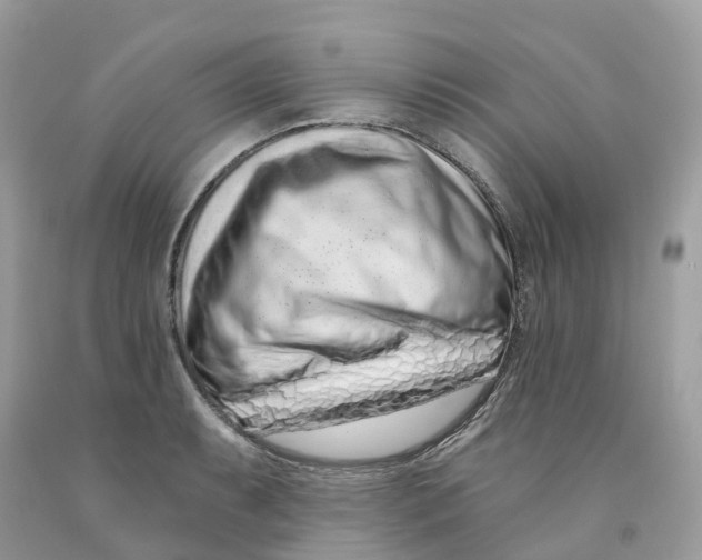 X0000091561087200709141531