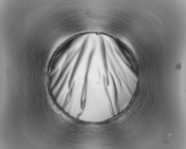 X0000091561088200709141531