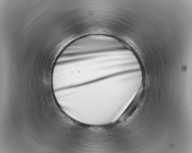 X0000091561089200709141531