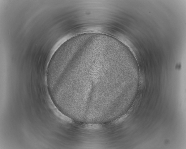 X0000091561090200709141531