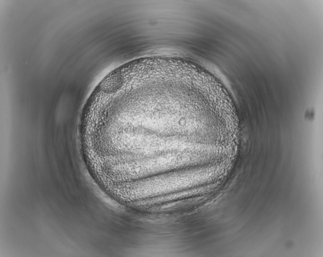 X0000091561091200709141531