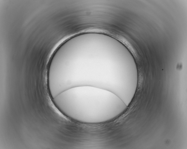 X0000091561092200709141531