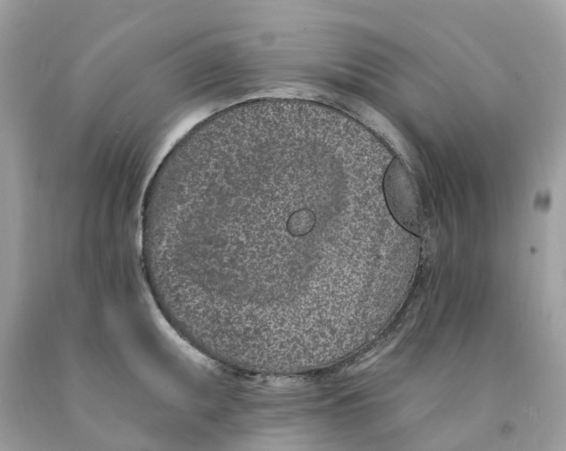 X0000091561095200709141531