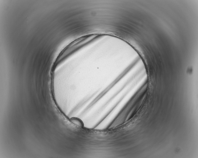 X0000091561096200709141531