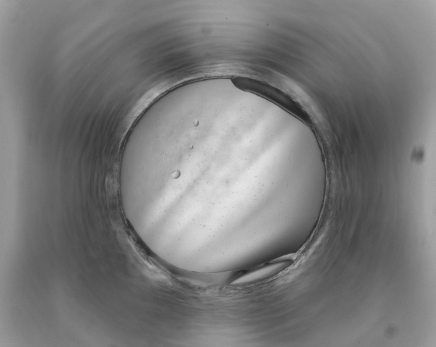 X0000091561097200709141531