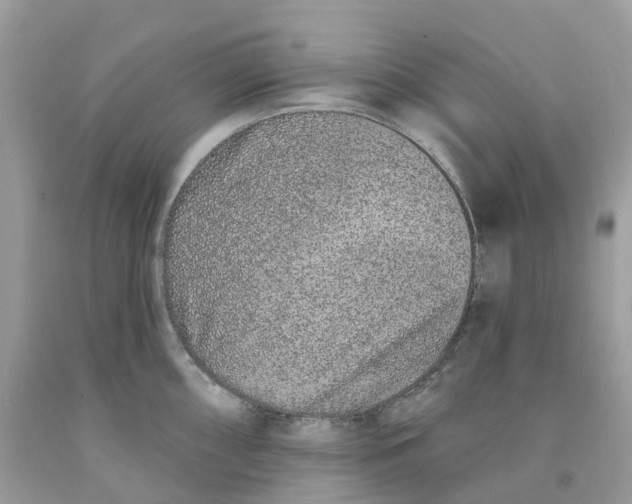 X0000091561098200709141531