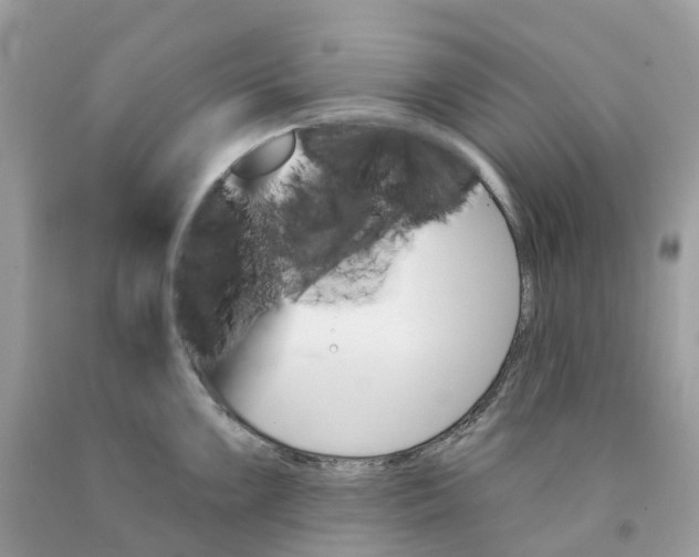 X0000091561099200709141531