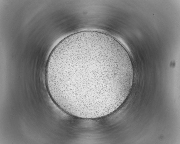 X0000091561100200709141531