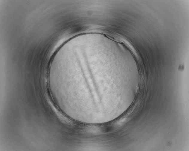 X0000091561101200709141531