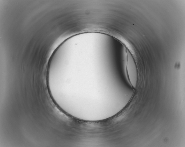 X0000091561102200709141531