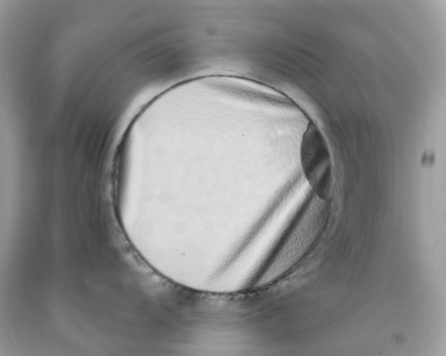 X0000091561104200709141531