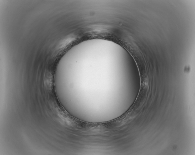 X0000091561108200709141530