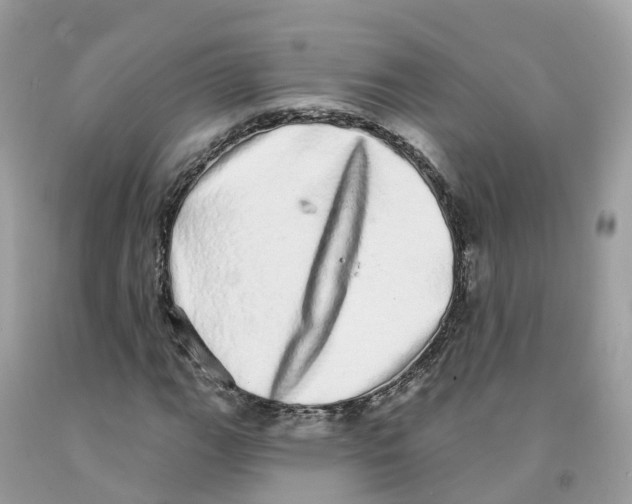 X0000091561111200709141530