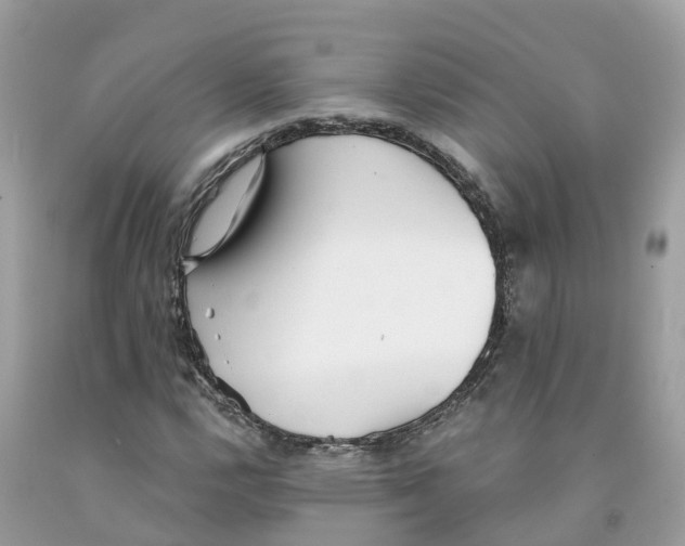 X0000091561112200709141530