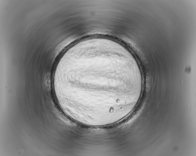 X0000091561113200709141530