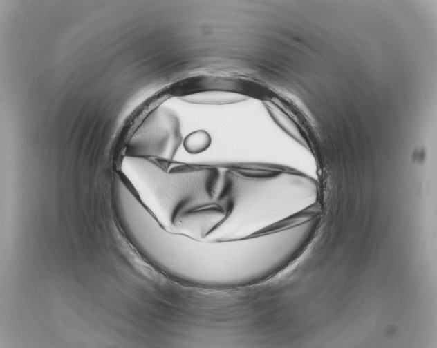 X0000091561114200709141530