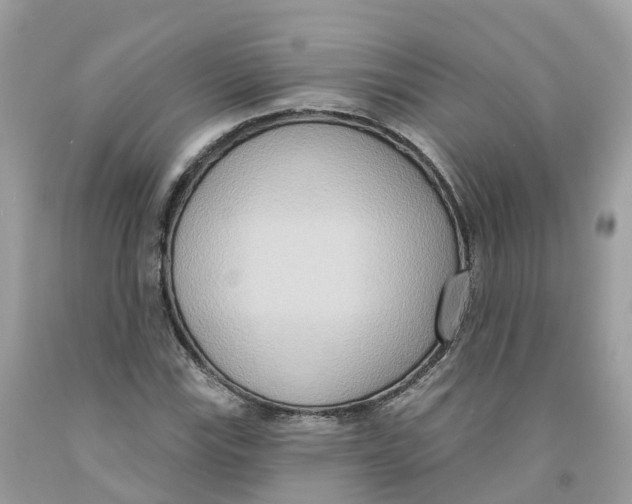 X0000091561115200709141530