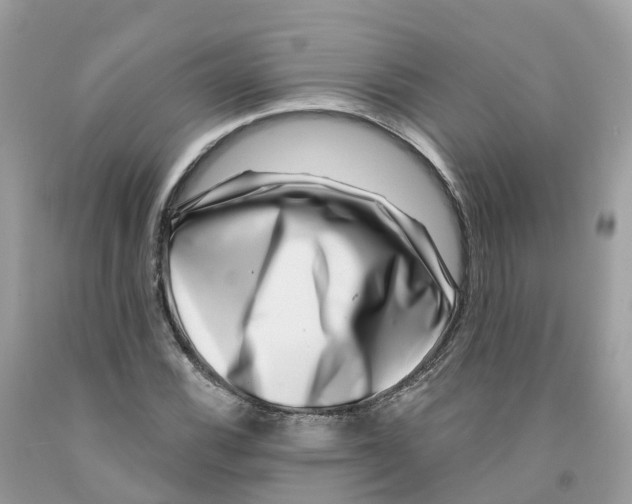 X0000091561116200709141530