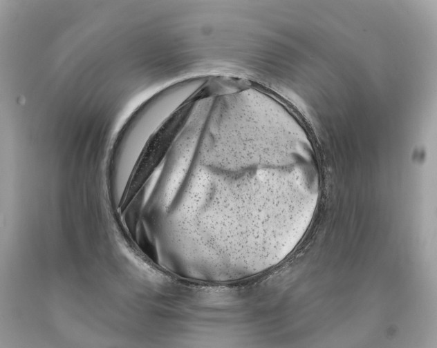 X0000091561120200709141530