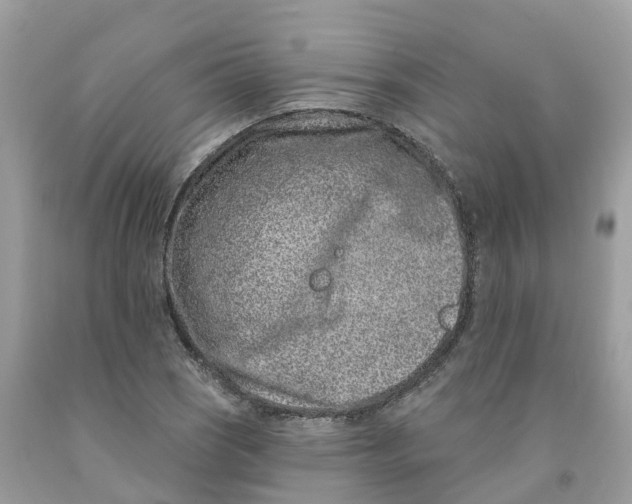 X0000091561121200709141530