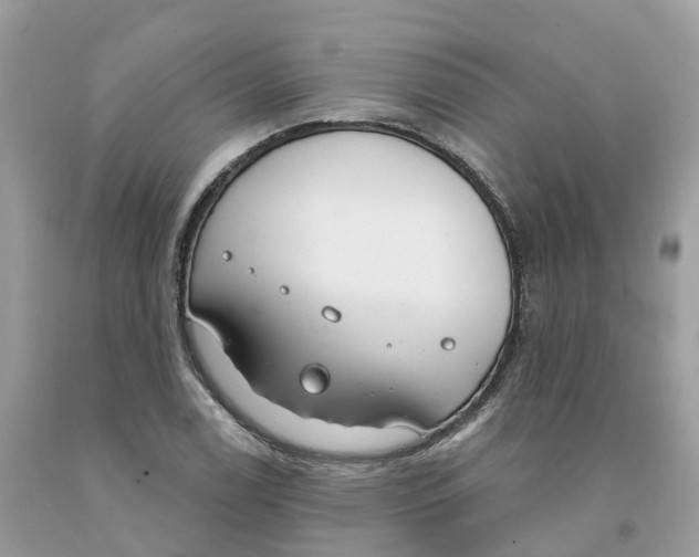 X0000091561122200709141530