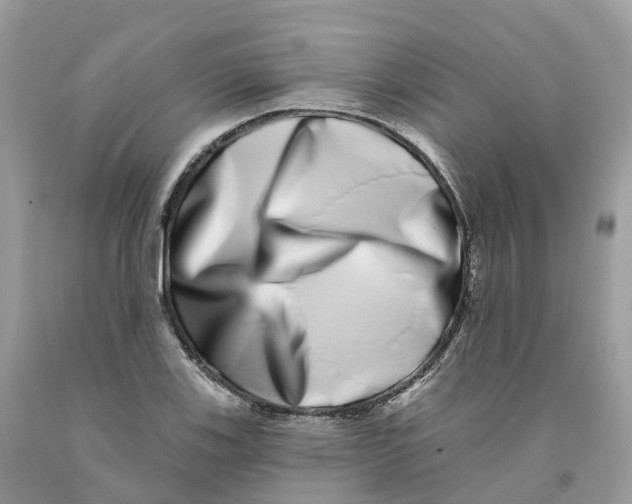 X0000091561123200709141530