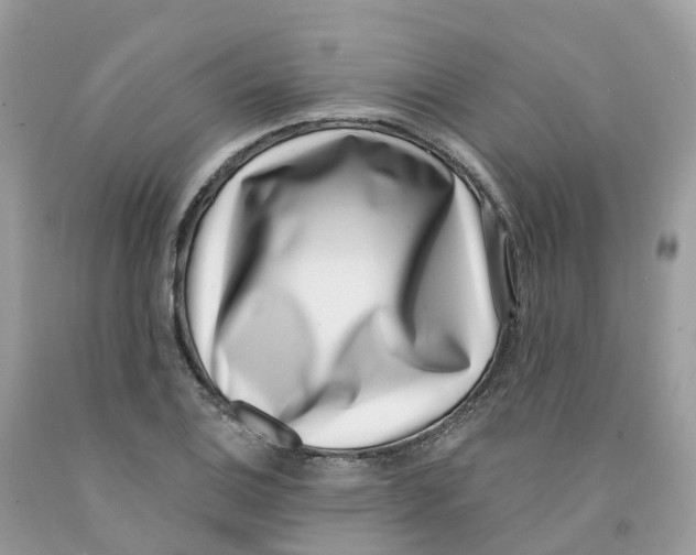 X0000091561124200709141530