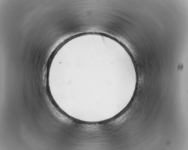 X0000091561126200709141530