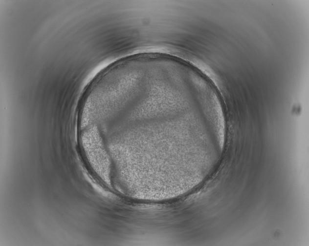 X0000091561127200709141530