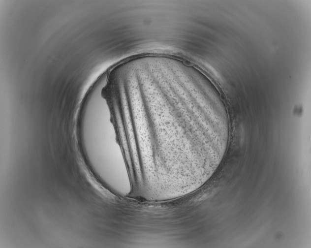 X0000091561128200709141530