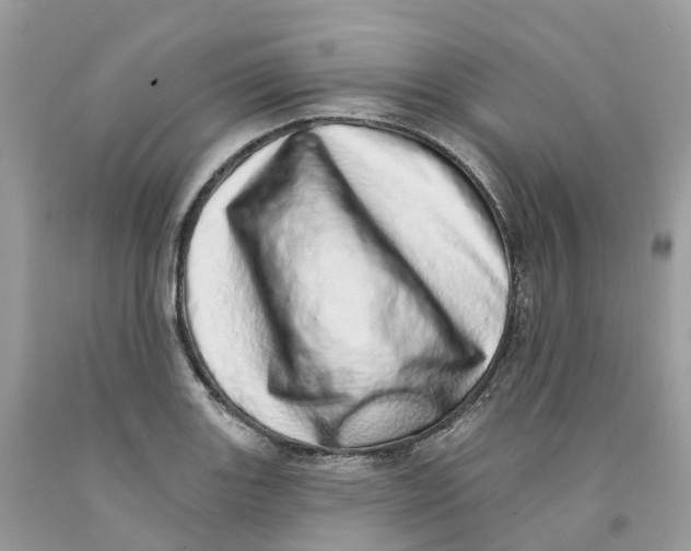 X0000091561131200709141530