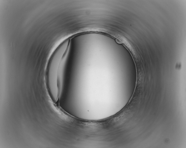 X0000091561132200709141530