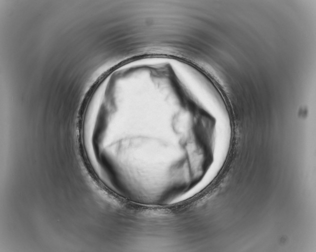 X0000091561133200709141530