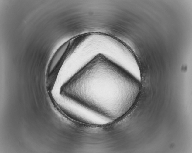 X0000091561135200709141530