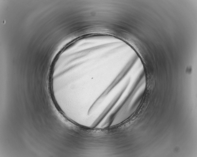 X0000091561139200709141530