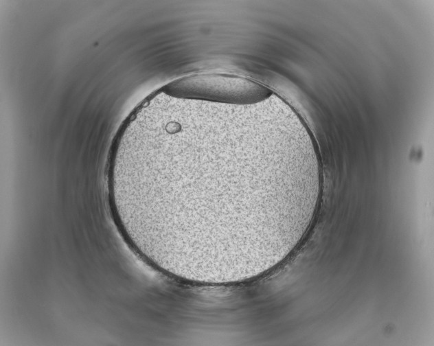 X0000091561141200709141530