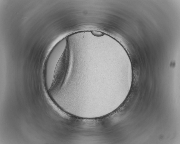 X0000091561142200709141530