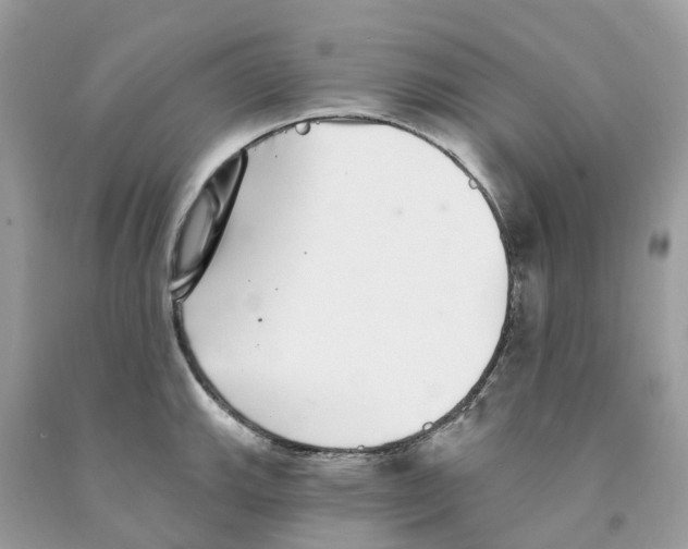 X0000091561143200709141530