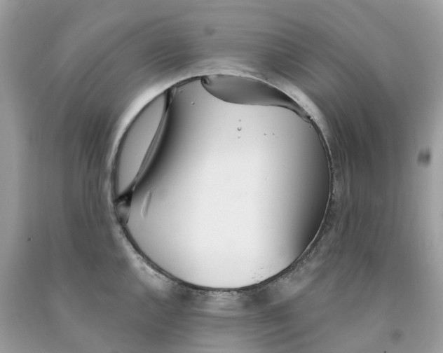 X0000091561144200709141530